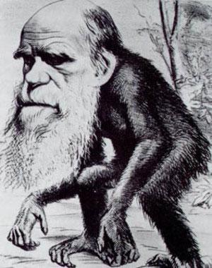 darwin01